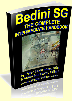 Bedini SG - The Complete Intermediate Handbook